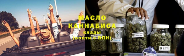 гидра Елизово