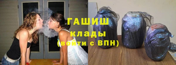 гидра Елизово
