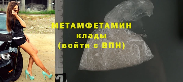 гидра Елизово