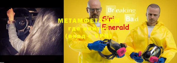 гидра Елизово