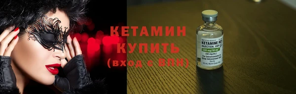 гидра Елизово