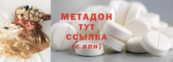 гидра Елизово