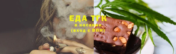гидра Елизово