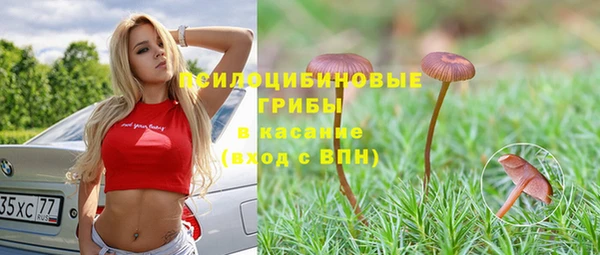 шишки Елабуга