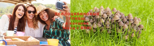 первитин Заволжье