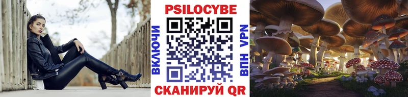 Купить  Ипатово  Псилоцибиновые грибы GOLDEN TEACHER 